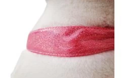 Pluche Liggende Eenhoorn 100cm