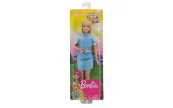 Barbie Dreamhouse Adventures Barbie Pop
