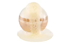 L.O.L. Surprise! Bubble Surprise Pets -Stijlvolle Speelgoed Winkel 01703672 009.ca7856f9