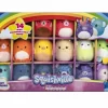Squishville Squishmallow 14-Pack 5cm Figuren - Briliant Besties